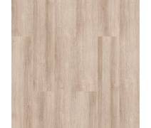 Kastamonu Entegre Classic Seri Assos Meşe Model  8mm Derzsiz Parke #kırveliyapımarket