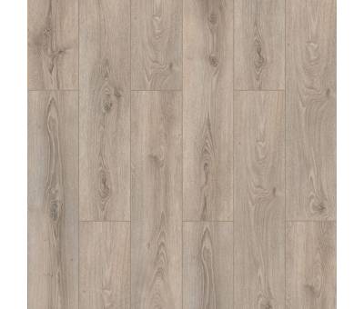 Kastamonu Entegre Prime Seri Erasmus Model  8mm Derzli Parke #kırveliyapımarket